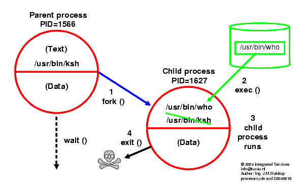 process-cycle.png